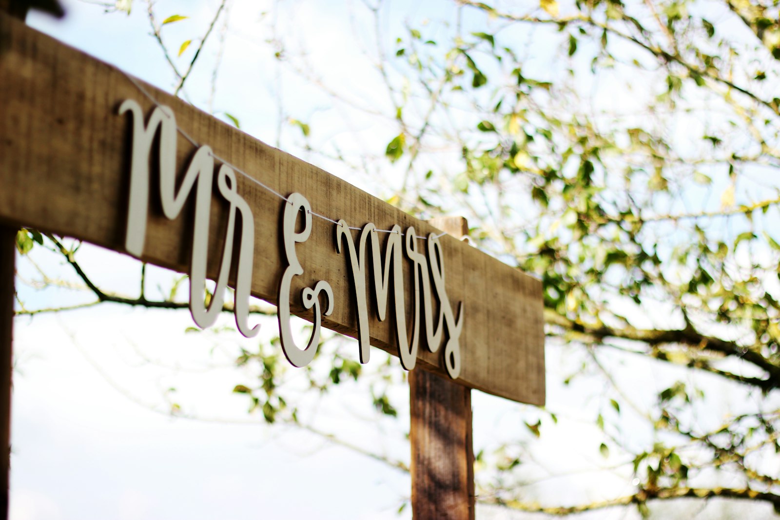 Anatomy of a Cape Winelands Wedding