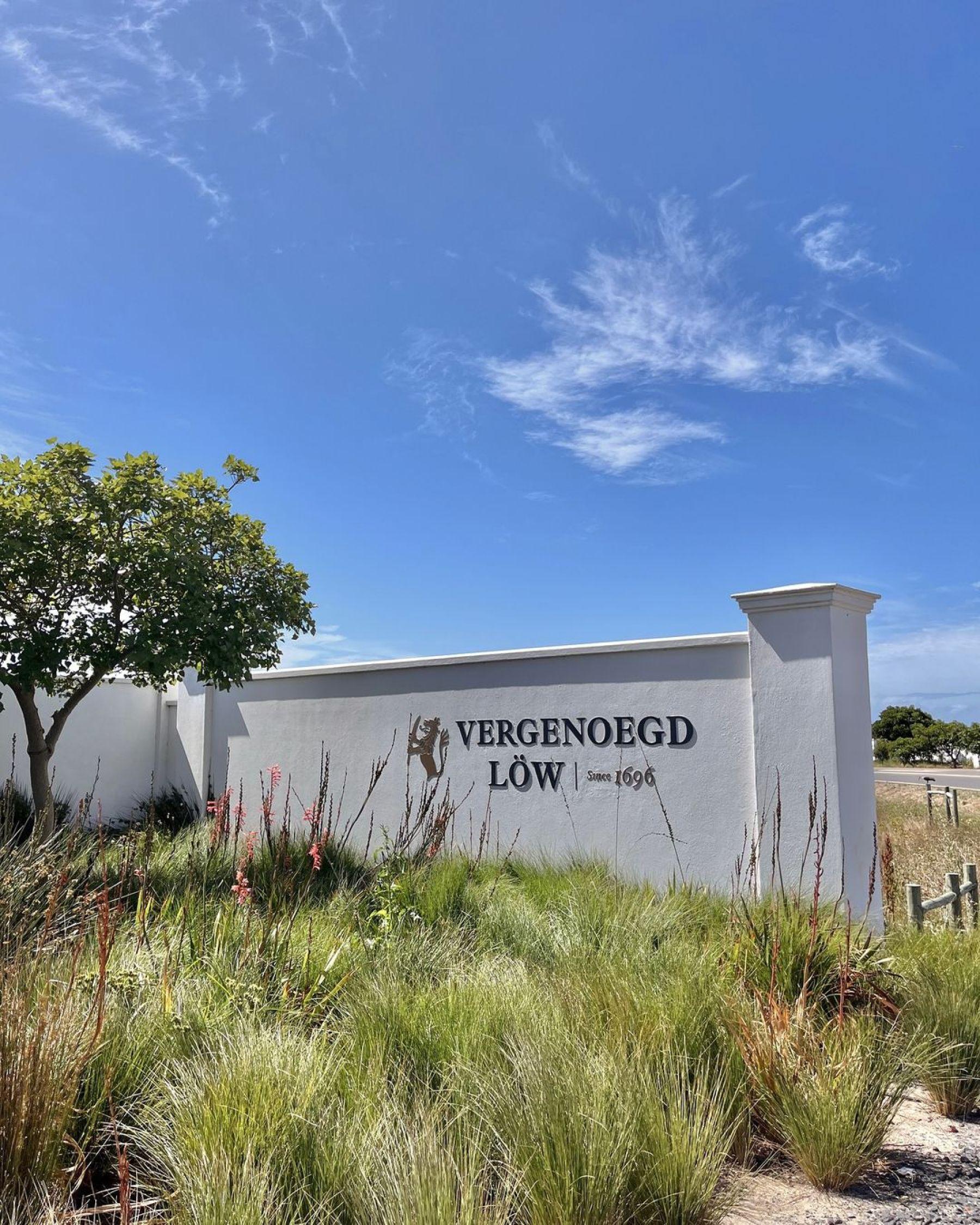 Vergenoegd Löw The Wine Estate, photo 3