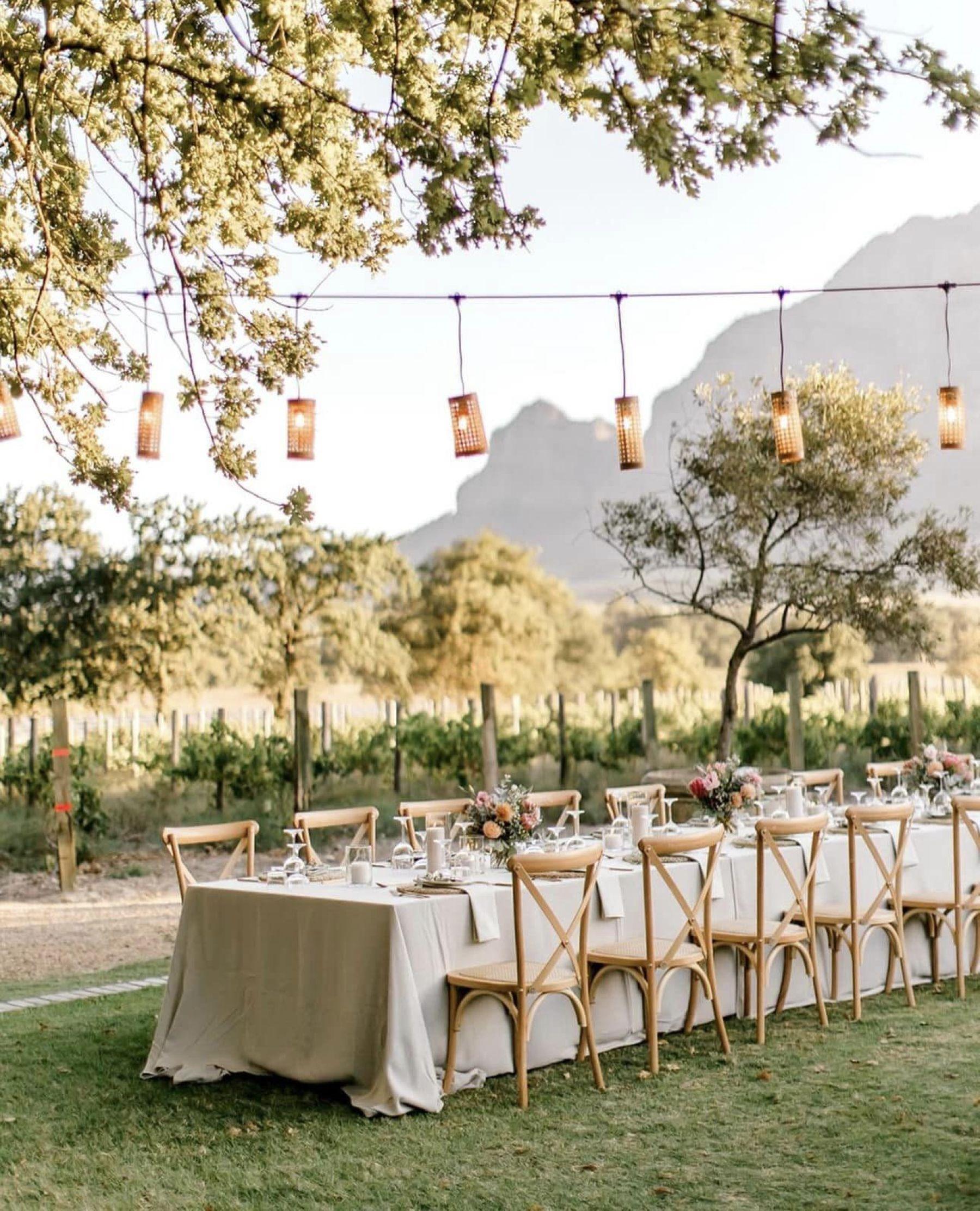 Vrede en Lust Wine Estate, photo 5