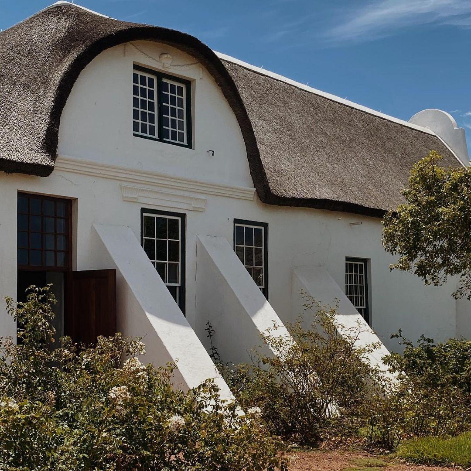 Vergenoegd Löw The Wine Estate, photo 7