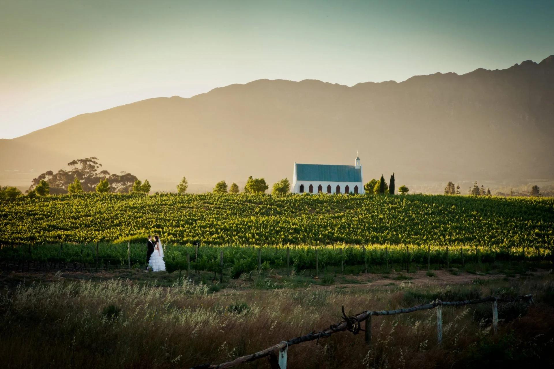 Montpellier Wine Estate, photo 2