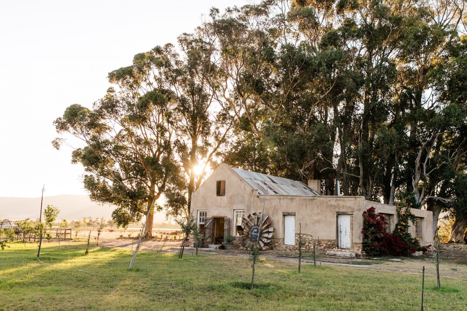 Montpellier Wine Estate, photo 3
