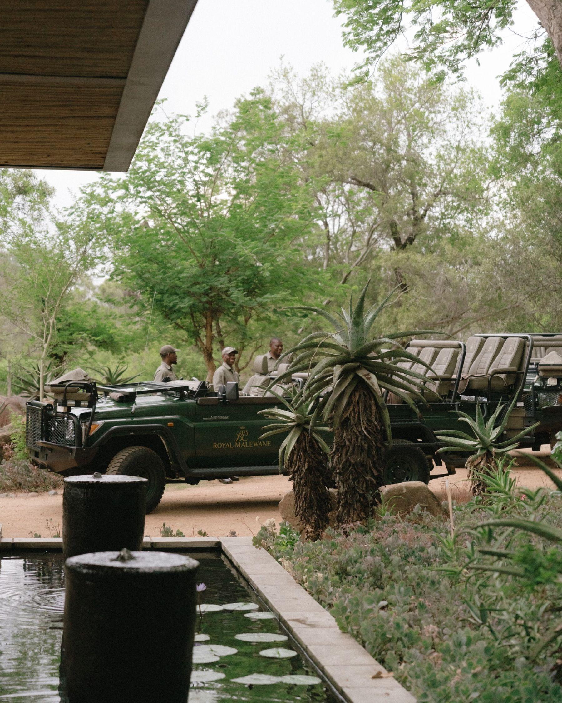 Royal Malewane, photo 6