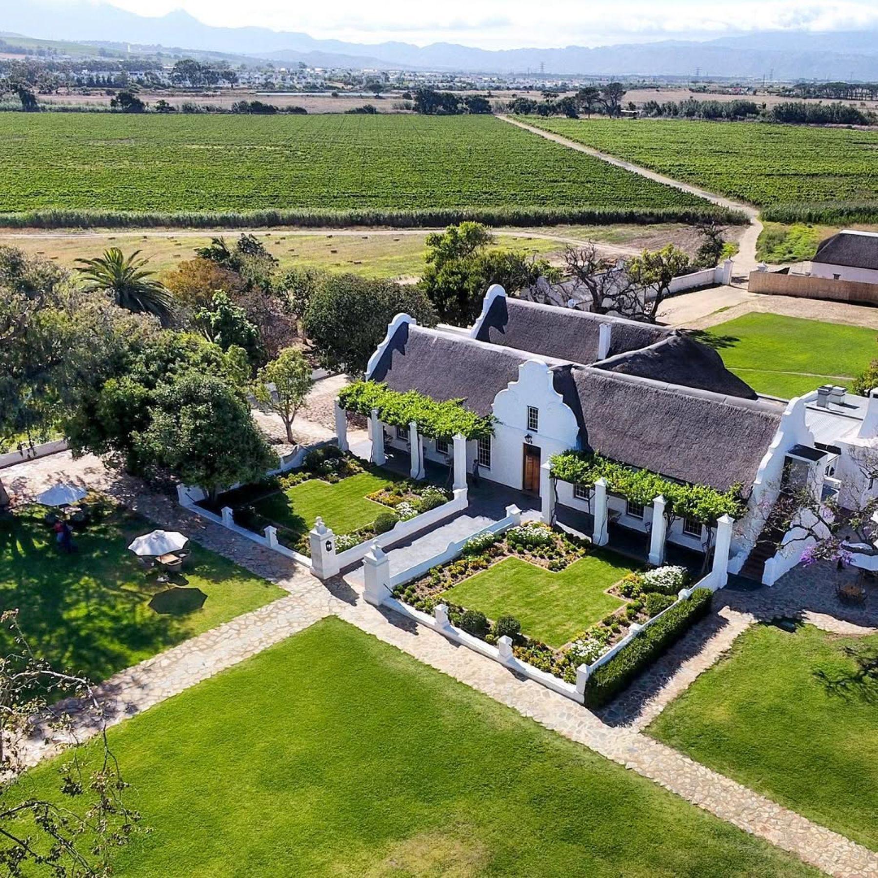 Vergenoegd Löw The Wine Estate