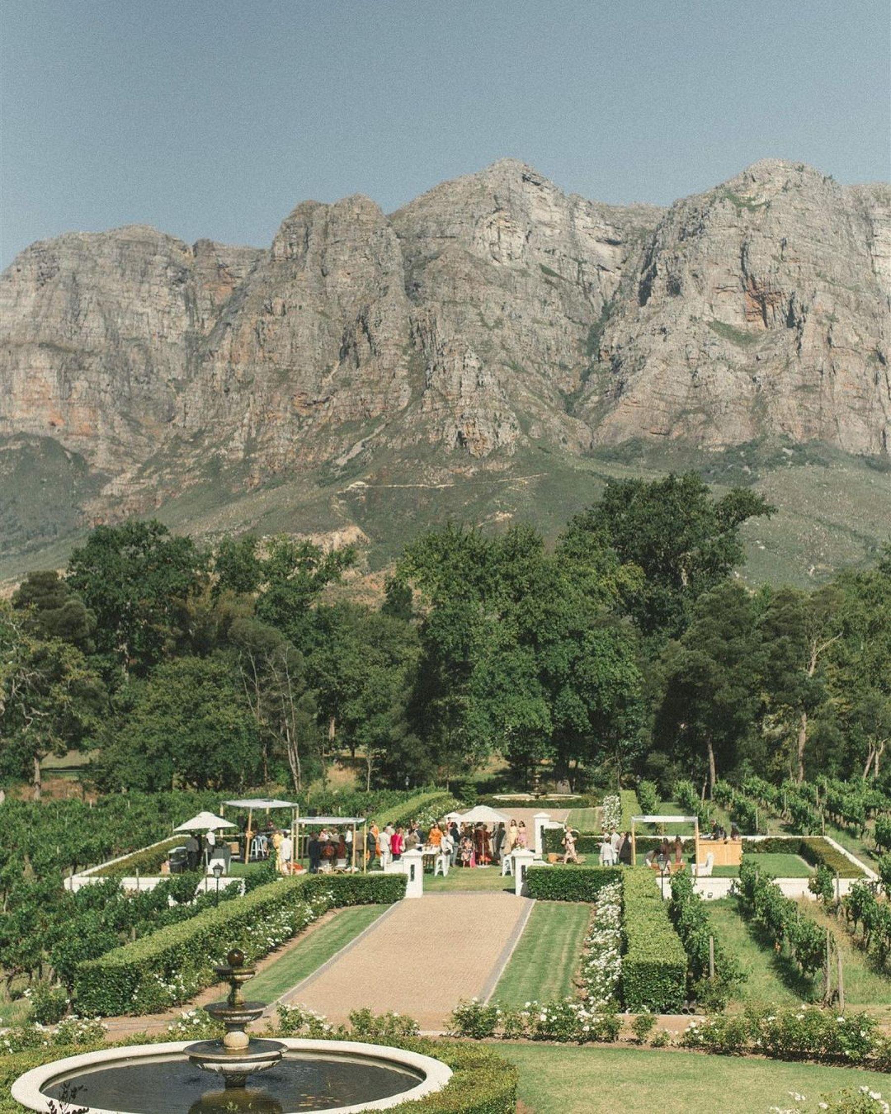 Molenvliet Vineyards, photo 6