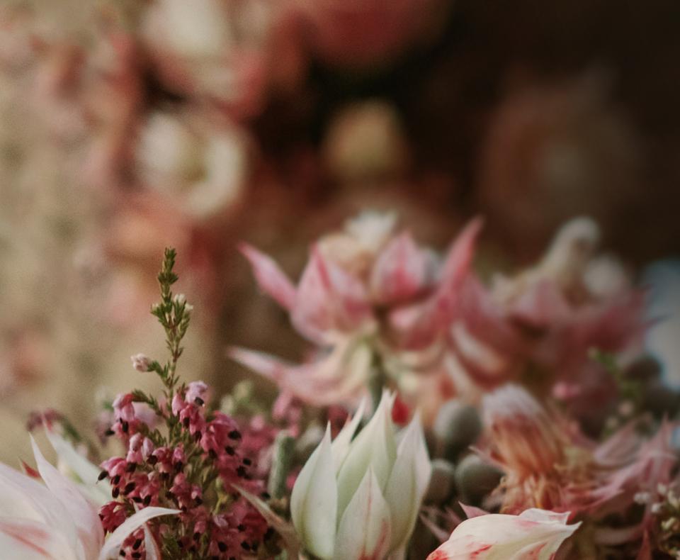 Petals Group