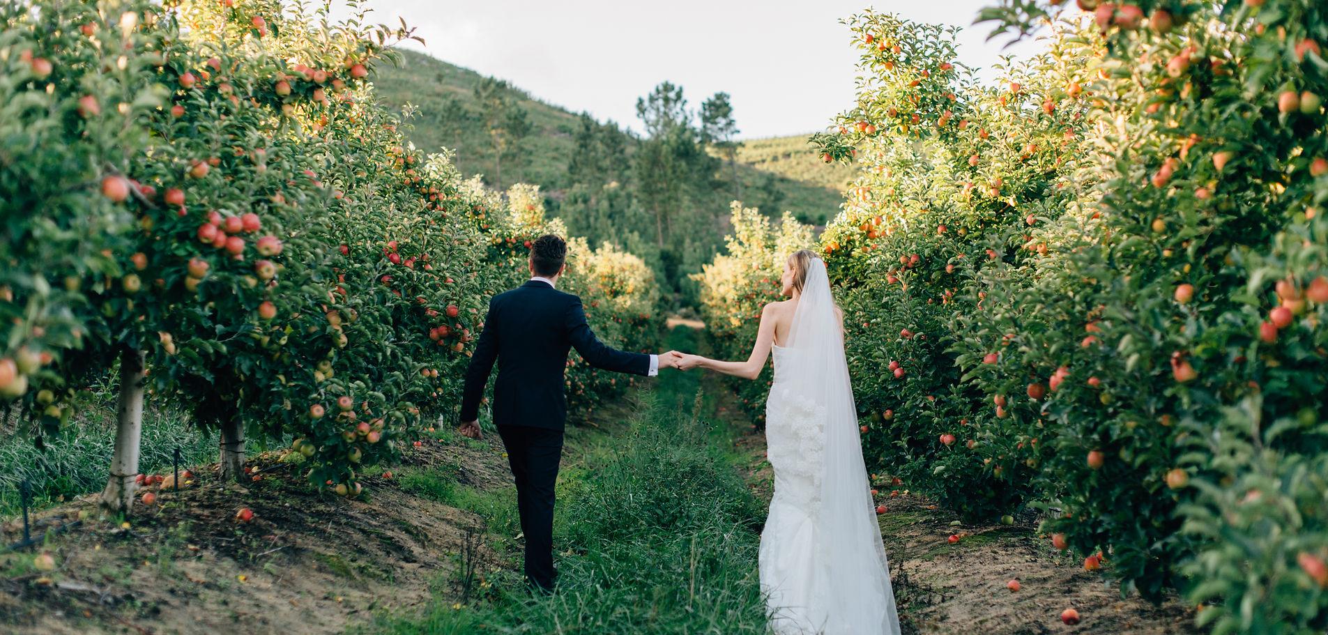 This Wedding